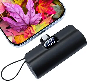 CooLuzer Capsule Mini Power Bank
